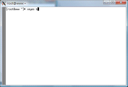 Windows 桌面出現的 X client 程式 Windows 桌面出現的 X client 程式